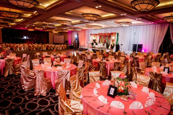 Chaya and Kirtan Indian Wedding Houston