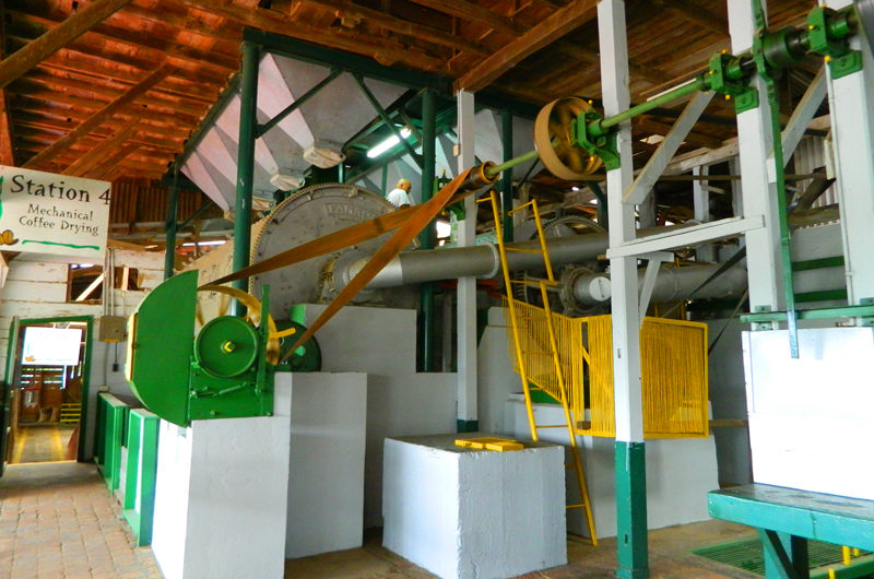 Doka Coffee Estate, Costa Rica. Photo by Ayesha Hakki