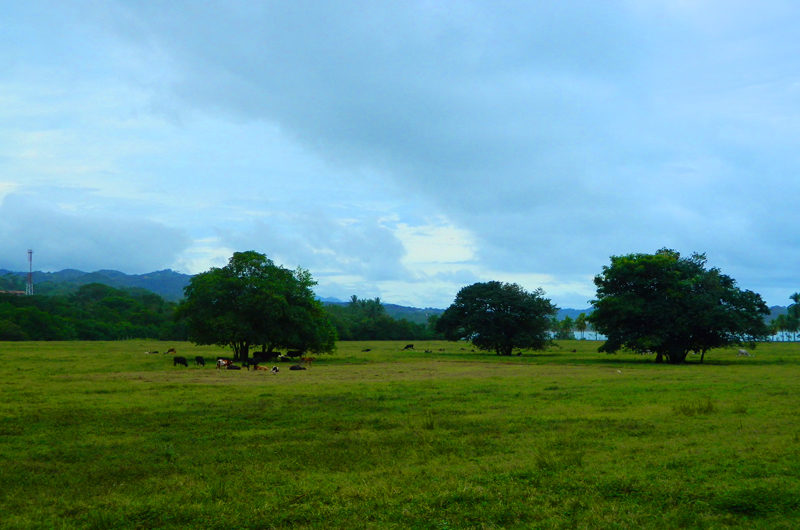 Costa Rica. Photo by Ayesha Hakki